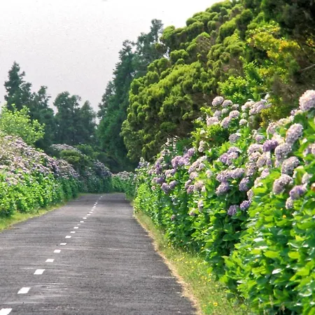 Faial Marina 1 Horta (Azores)