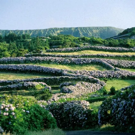 Faial Marina 1 아파트호텔