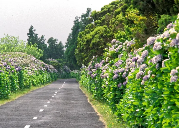 Faial Marina Horta (Azores)