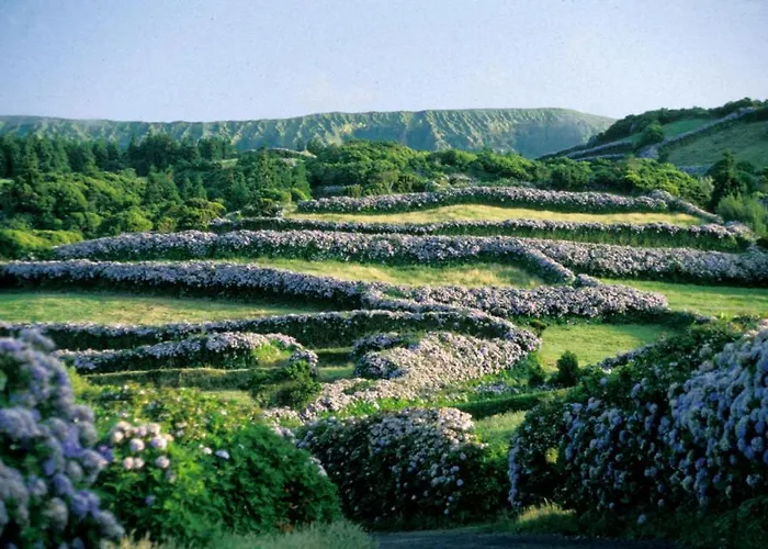 Faial Marina Aparthotel